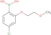 4-Chloro-2-(2-methoxyethoxy)phenylboronic acid