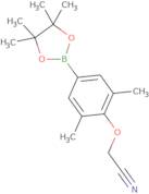 4-Cyanomethoxy-3,5-dimethylphenylboronic acid pinacol ester