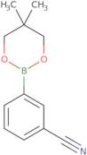 (3-Cyanophenyl)boronic acid, neopentyl glycol ester