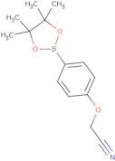 4-Cyanomethoxyphenylboronic acid, pinacol ester