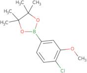 4-Chloro-3-methoxyphenylboronic acid pinacol ester
