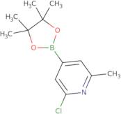 2-Chloro-6-methylpyridine-4-boronic acid, pinacol ester