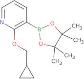 2-(Cyclopropylmethoxy)-3-(4,4,5,5-tetramethyl-1,3,2-dioxaborolan-2-yl)pyridine