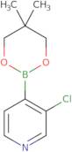 3-Chloro-4-(5,5-dimethyl-1,3,2-dioxaborinan-2-yl)pyridine