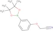 3-Cyanomethoxyphenylboronic acid, pinacol ester