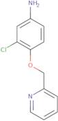 3-Chloro-4-[(pyridin-2-yl)methyloxy]aniline
