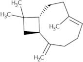 beta-Caryophyllene - min 98%