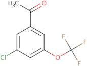 3'Chloro-5'-(trifluoromethoxy)acetophenone