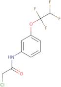 2-Chloro-N-(3-(1,1,2,2-tetrafluoroethoxy)phenyl)ethanamide