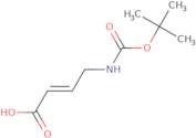 (2E)-4-{[(tert-Butoxy)carbonyl]amino}but-2-enoic acid