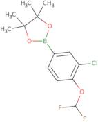 2-[3-Chloro-4-(difluoromethoxy)phenyl]-4,4,5,5-tetramethyl-1,3,2-dioxaborolane