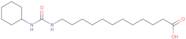 12-[(Cyclohexylcarbamoyl)amino]dodecanoic acid