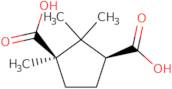 (1S,3R)-Camphoric acid