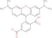 6-Carboxytetramethyl rhodamine