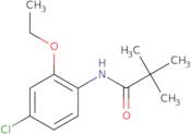 N-(4-Chloro-6-ethoxyphenyl)-2,2-dimethylpropanamide