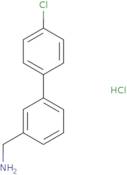 (4'-Chloro-1,1'-biphenyl-3-yl)MethanaMine hydrochloride