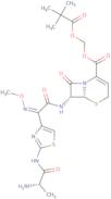 Ceftizoxime alapivoxil