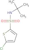 5-Chloro-N-tert-butyl-2-thiophene-sulfonamide