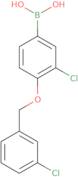 3-Chloro-4-(3'-chlorobenzyloxy)phenylboronic acid
