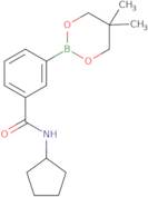 3-(Cyclopentylaminocarbonyl)phenylboronic acid neopentyl glycol ester