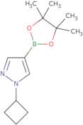 1-Cyclobutyl-4-(4,4,5,5-tetramethyl-1,3,2-dioxaborolan-2-yl)-1H-pyrazole