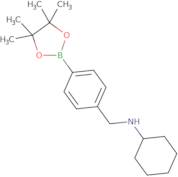 4-(Cyclohexyl)aminomethylphenylboronic acid pinacol ester