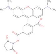 6-Carboxytetramethylrhodamine succinimidyl ester