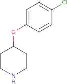 4-(4-Chloro-phenoxy)-piperidine