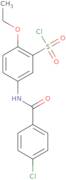 5-(4-Chlorobenzoylamino)-2-ethoxybenzenesulfonyl chloride