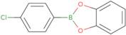 4-Chlorophenylboronic acid, catechol cyclic ester