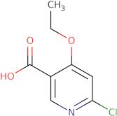 6-Chloro-4-ethoxy-3-pyridinecarboxylic acid