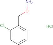 O-(2-Chlorobenzyl)hydroxylamine hydrochloride