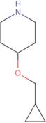 4-(Cyclopropylmethoxy)piperidine