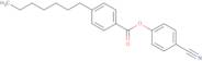 4-Cyanophenyl 4-Heptylbenzoate