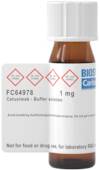 Cetuximab - Buffer solution
