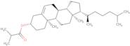 Cholesteryl isobutyrate