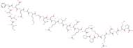 Calcineurin Autoinhibitory Peptide