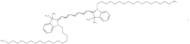 1,1'-Dioctadecyl-3,3,3',3'-tetramethylindotricarbocyanine iodide
