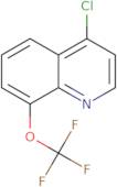 4-Chloro-8-Trifluoromethoxyquinoline