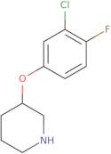 3-(3-Chloro-4-fluorophenoxy)piperidine