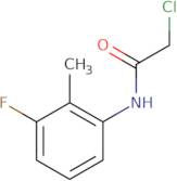 2-Chloro-N-(3-Fluoro-2-Methylphenyl)Acetamide