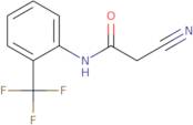 2-Cyano-N-[2-(Trifluoromethyl)Phenyl]Acetamide