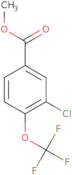 3-Chloro-4-(Trifluoromethoxy)Methylbenzoic Acid