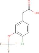 4-Chloro-3-(trifluoromethoxy)benzeneacetic acid