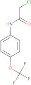 2-Chloro-N-[4-(Trifluoromethoxy)Phenyl]-Acetamide