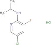 5-Chloro-3-fluoro-2-(N-isopropylaMino)pyridine, HCl