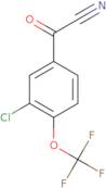 (3-Chloro-4-Trifluoromethoxy-Phenyl)-Oxo-Acetonitrile