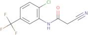N-(2-Chloro-5-Trifluoromethyl-Phenyl)-2-Cyano-Acetamide