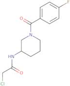 2-Chloro-N-[1-(4-fluorobenzoyl)-3-piperidinyl]acetamide