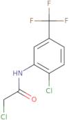 2-Chloro-N-(2-Chloro-5-Trifluoromethyl-Phenyl)-Acetamide